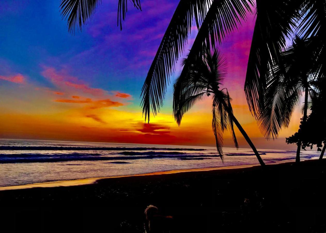 Beachfront Paradise 曼努埃尔安东尼奥 外观 照片