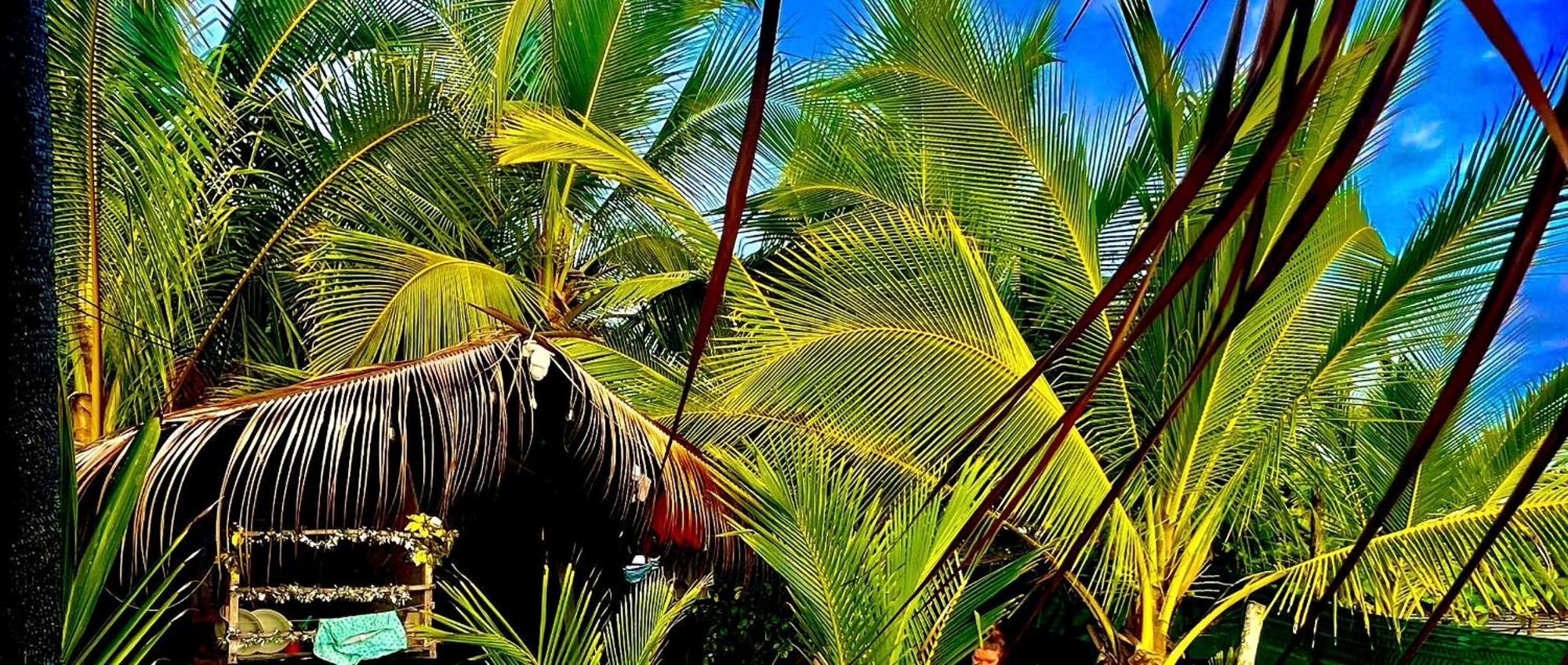 Beachfront Paradise 曼努埃尔安东尼奥 外观 照片