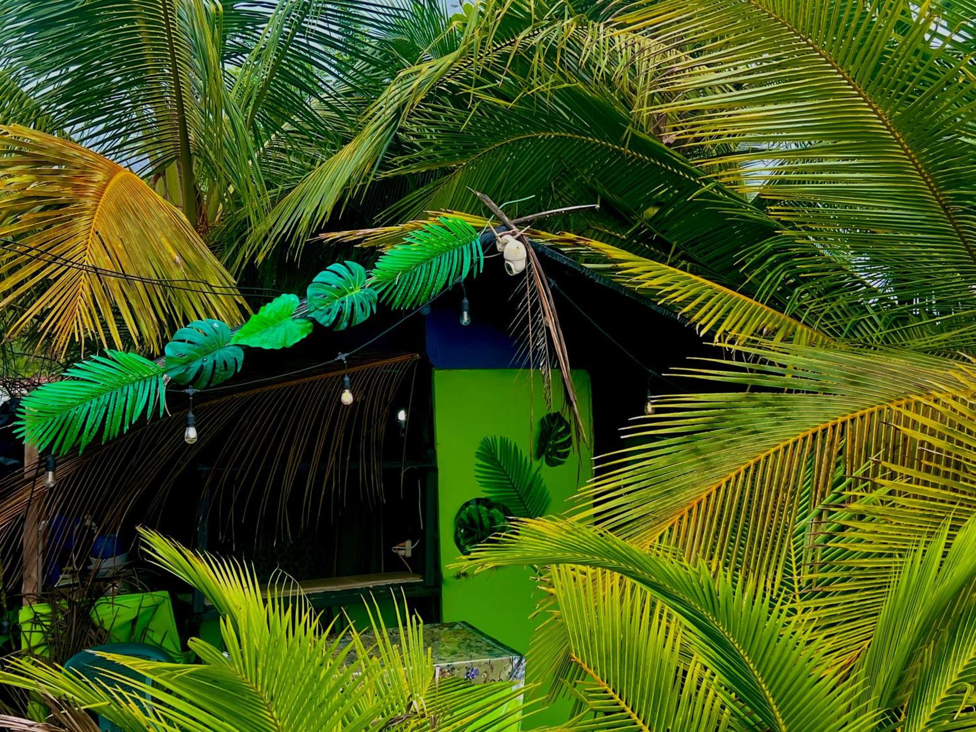 Beachfront Paradise 曼努埃尔安东尼奥 外观 照片