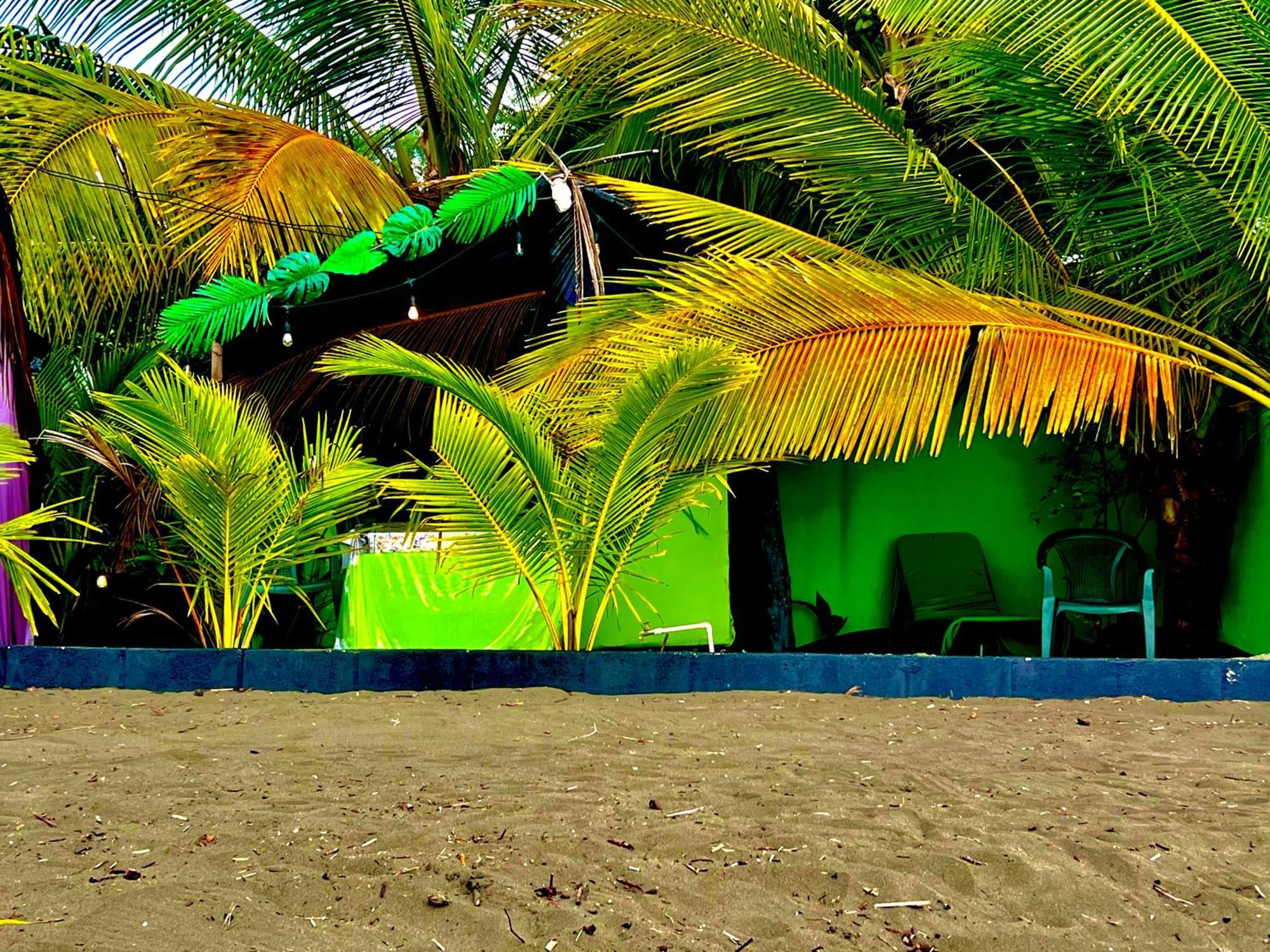 Beachfront Paradise 曼努埃尔安东尼奥 外观 照片