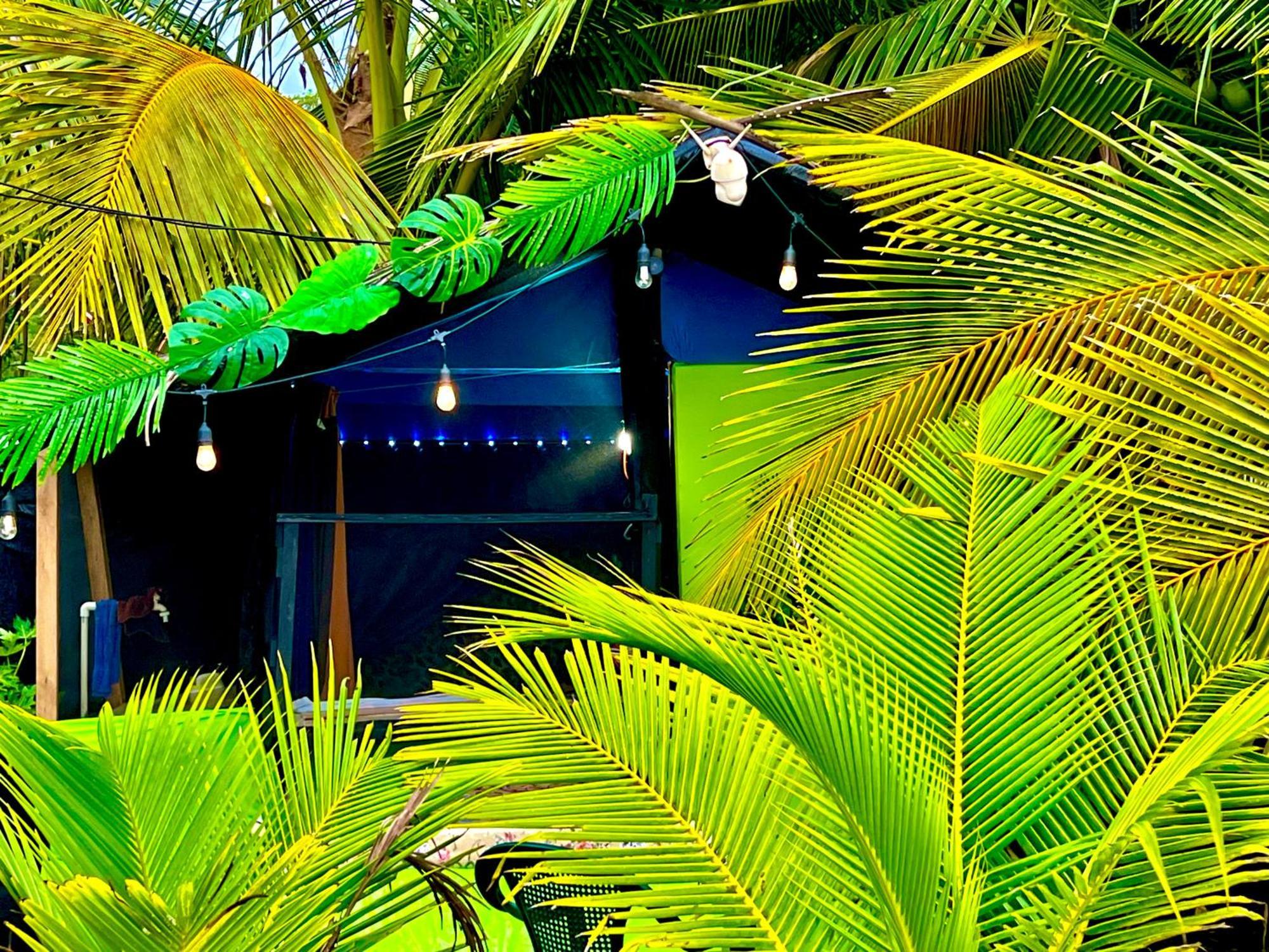 Beachfront Paradise 曼努埃尔安东尼奥 外观 照片
