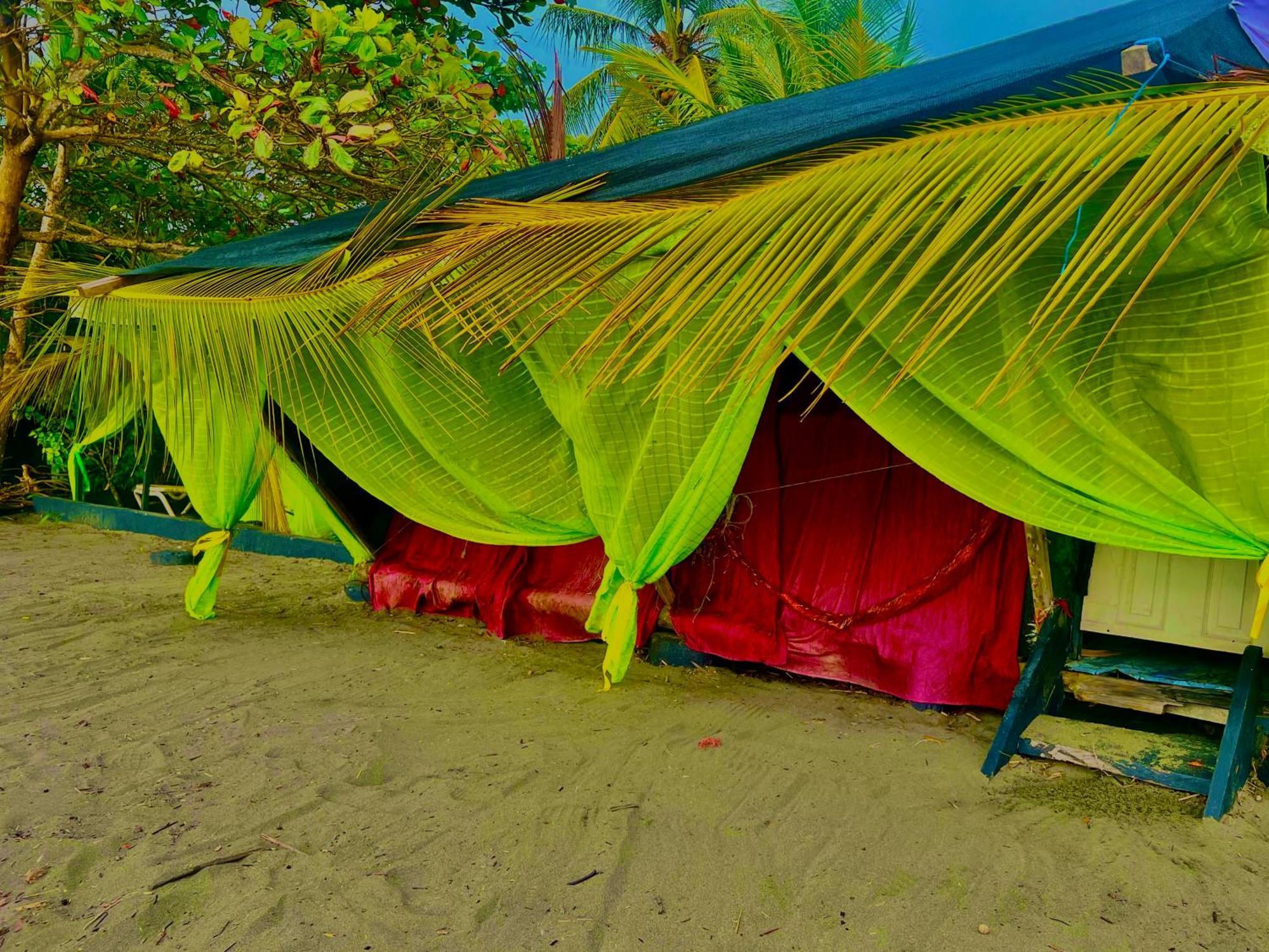 Beachfront Paradise 曼努埃尔安东尼奥 外观 照片